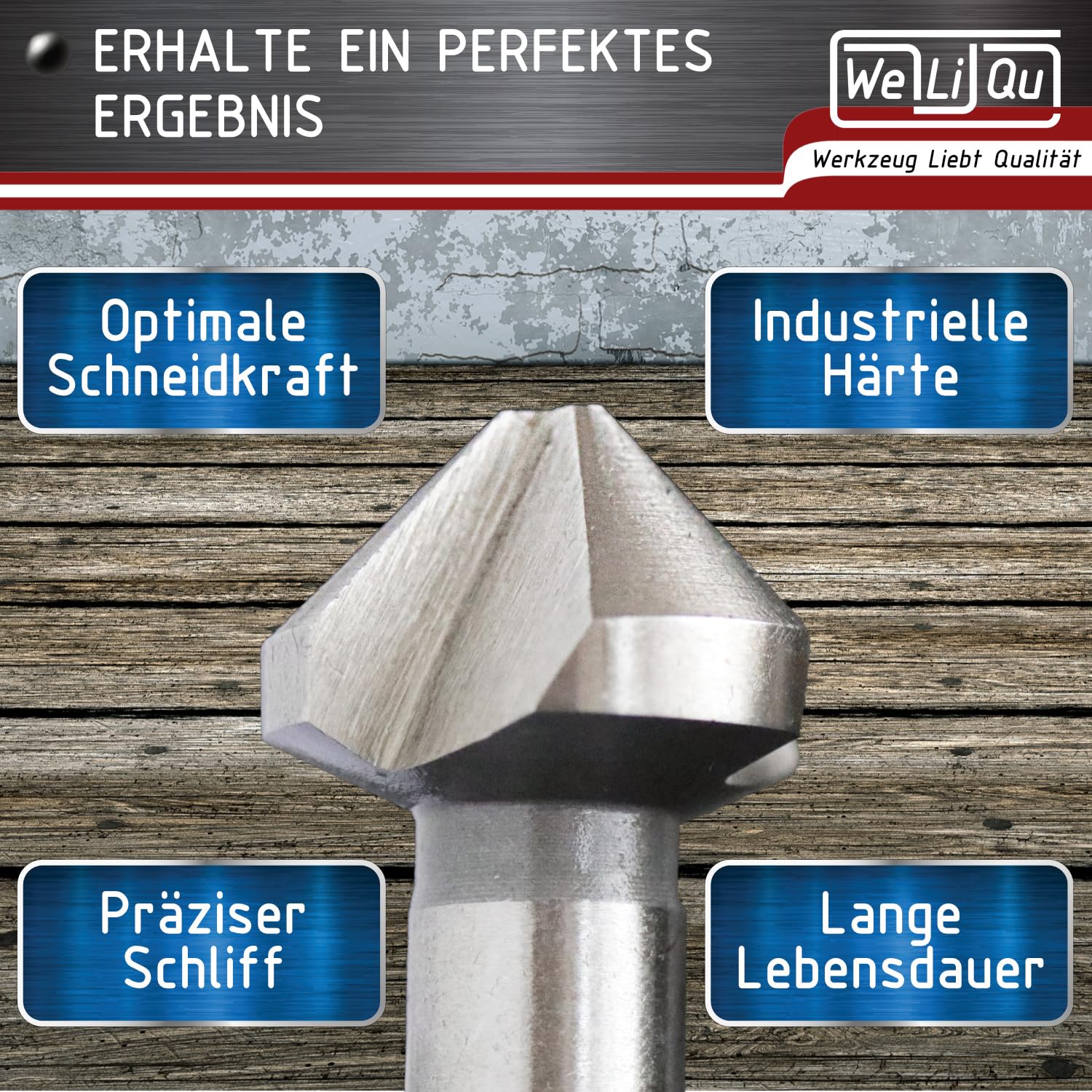 WELIQU Kegelsenker 90° Ø 6,3-20,5 mm aus HSS-G Stahl